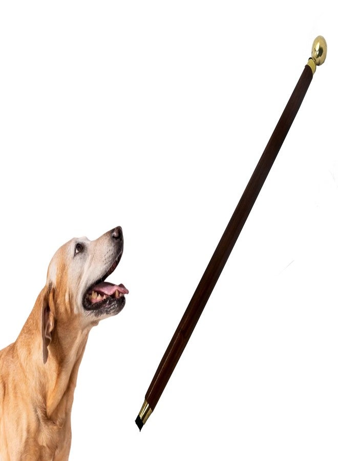 Ages Behind Dog Training Stick, 63 cm Wooden Walking Cane, Brass Ball Handle, Brown - Image 1